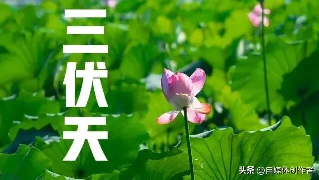 春分遇龙抬头！2026三伏天超长待机40天，今年夏天要热到开挂？
 
3月20日
