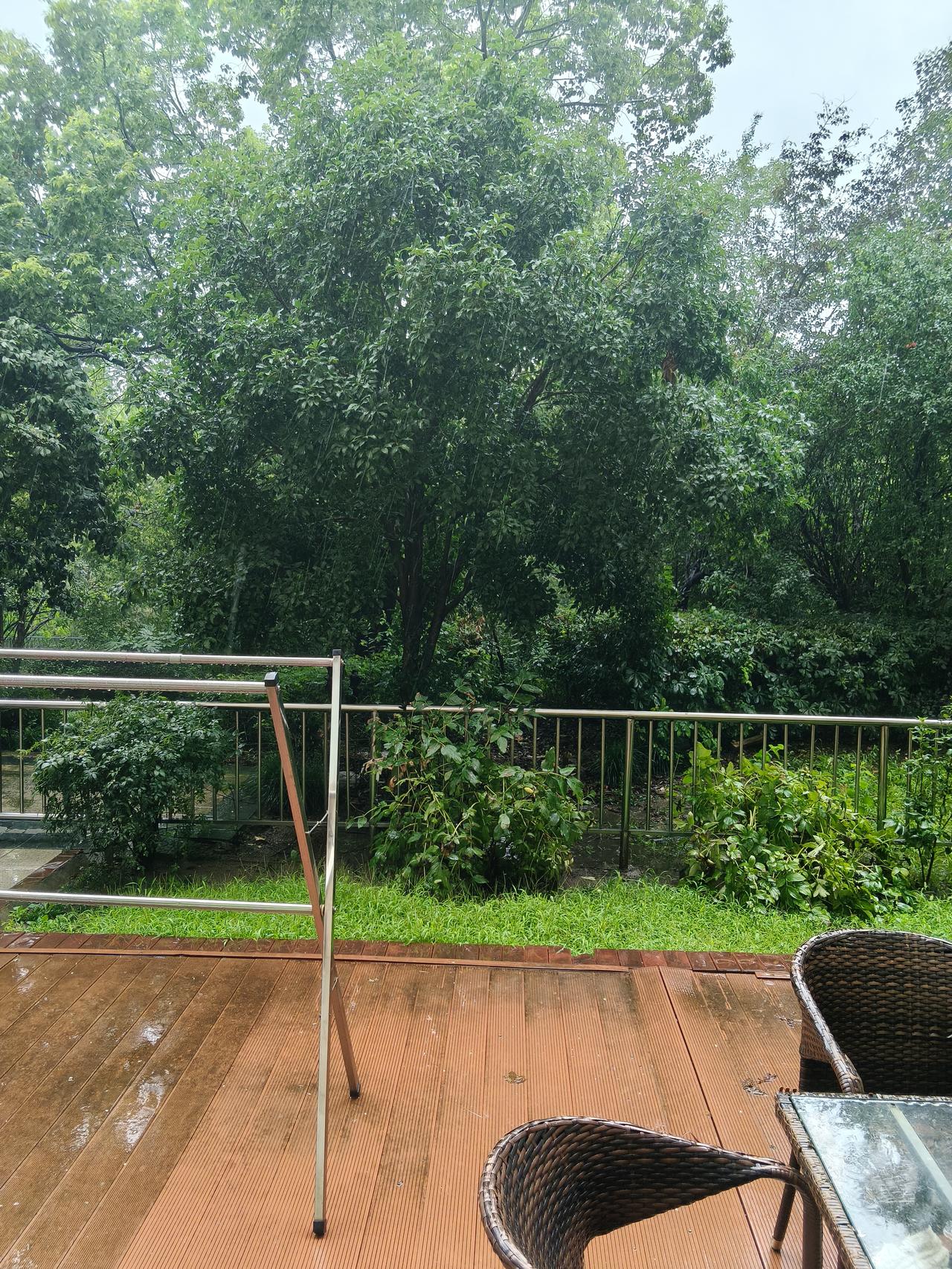 小雨中的庭院
         现在是2026年8月10日上午10：16，小雨中