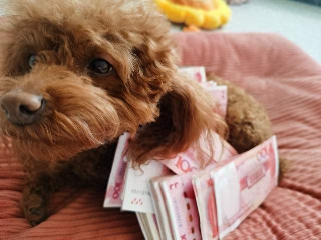 七旬阿姨起诉儿子索要 36 万 “带孙费”：隔代抚养的账怎么算?