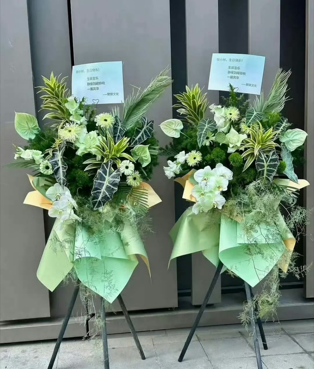 剑阁闻铃给李昀锐送花篮獭獭文化剑阁闻铃给李昀锐送花篮       剑阁闻铃这是官