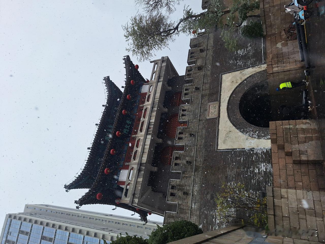 下雪了，雪中行