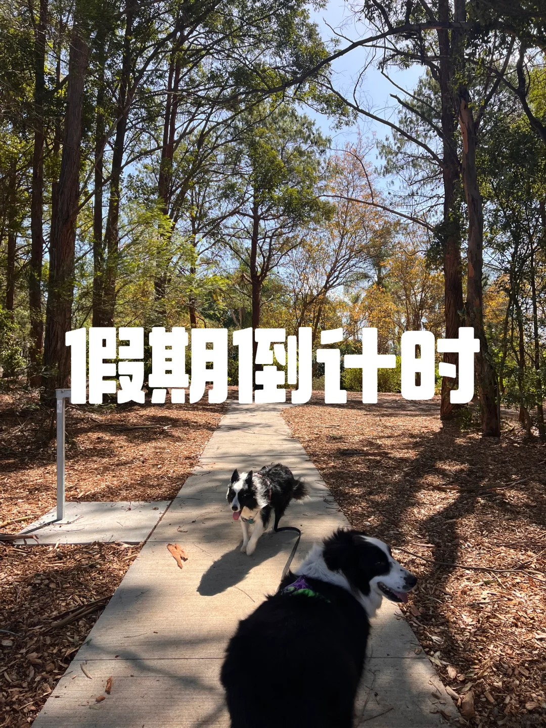 记录俩周假期的回忆📅 期待下一个假期