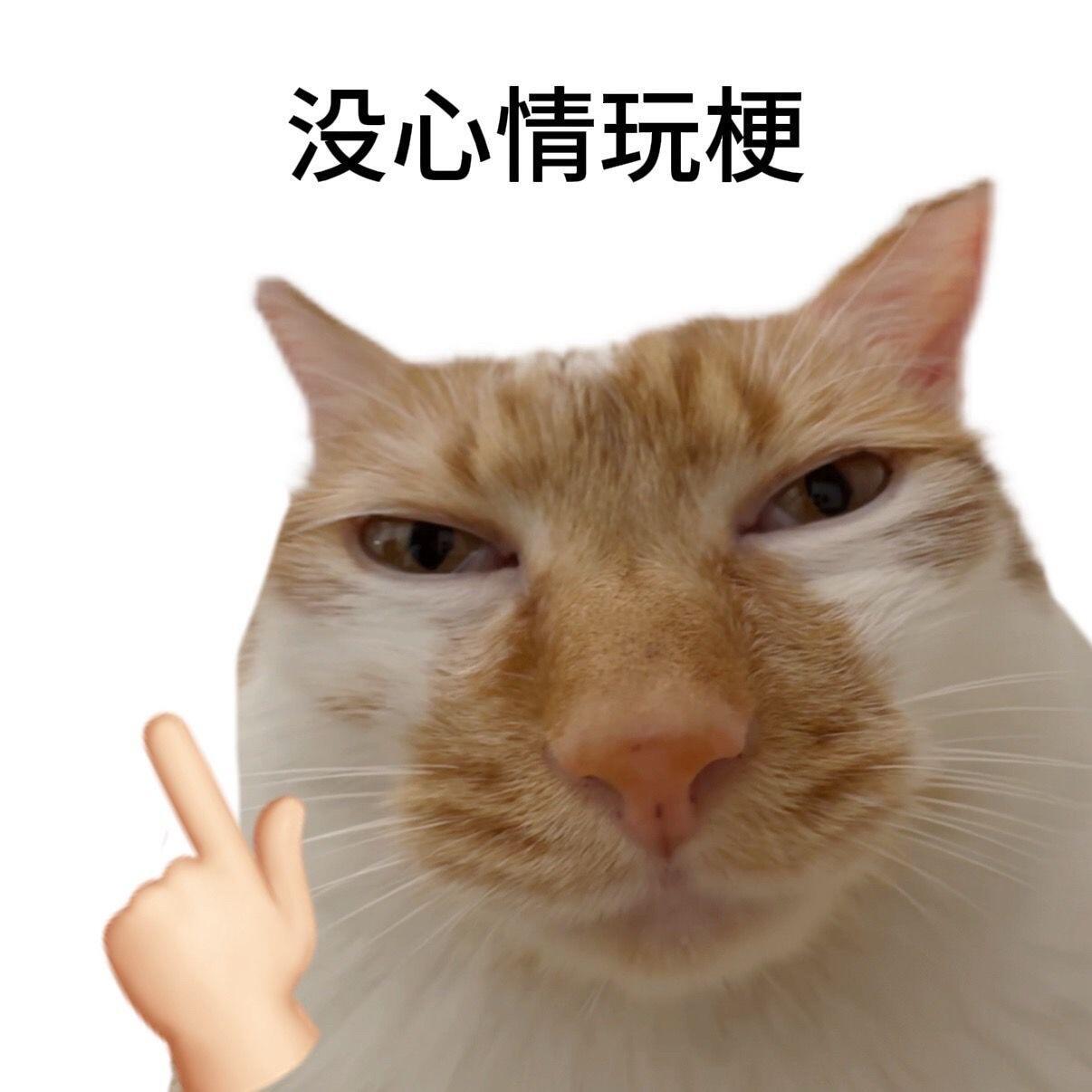 不得劲的时候就发这组表情包 