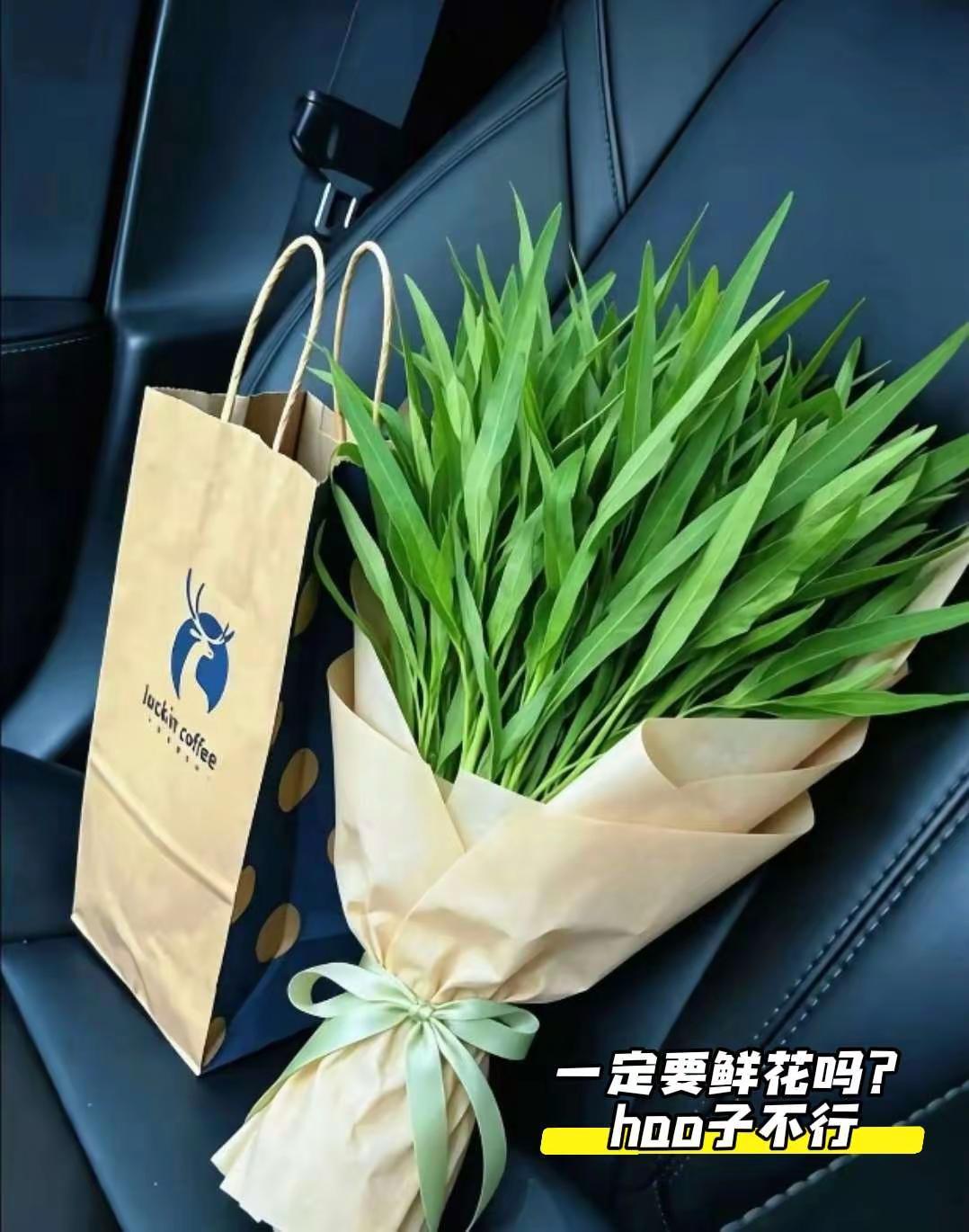 看着还挺顺眼😂😂😂