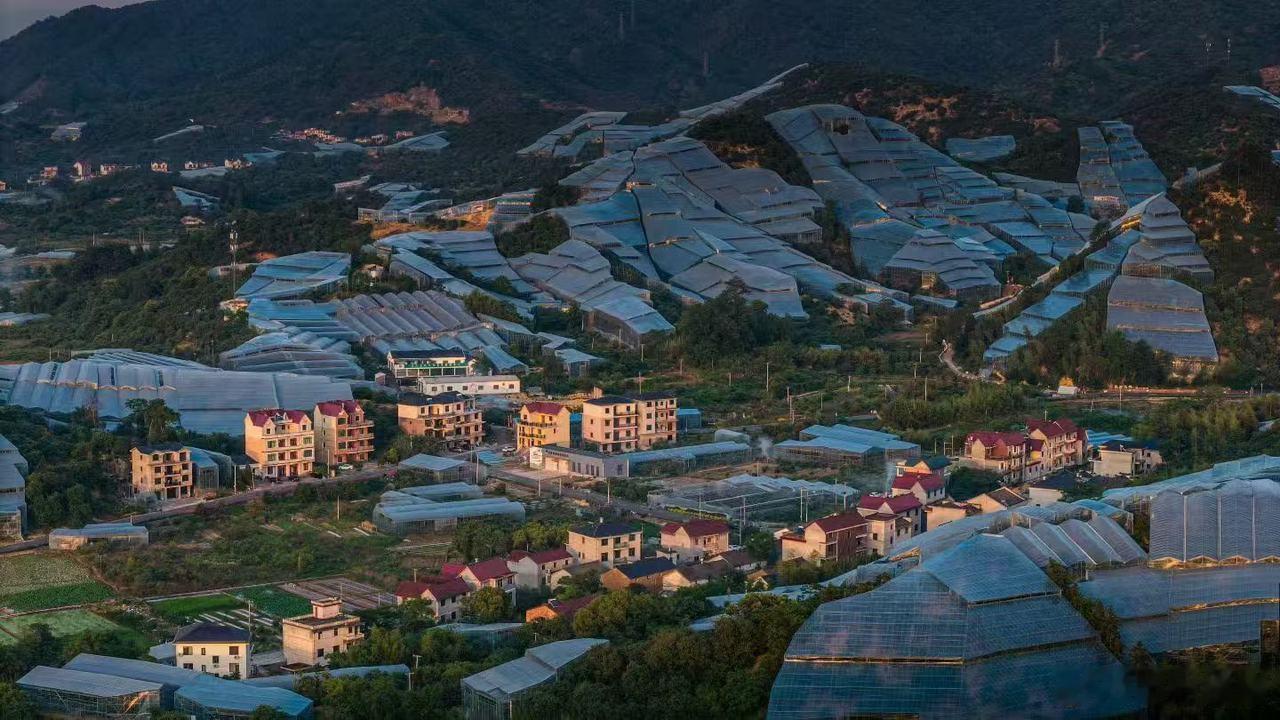 浙江一颗杨梅撑起乡村共富大产业 浙江金华兰溪马涧镇是知名杨梅主产区，当地拥有4.