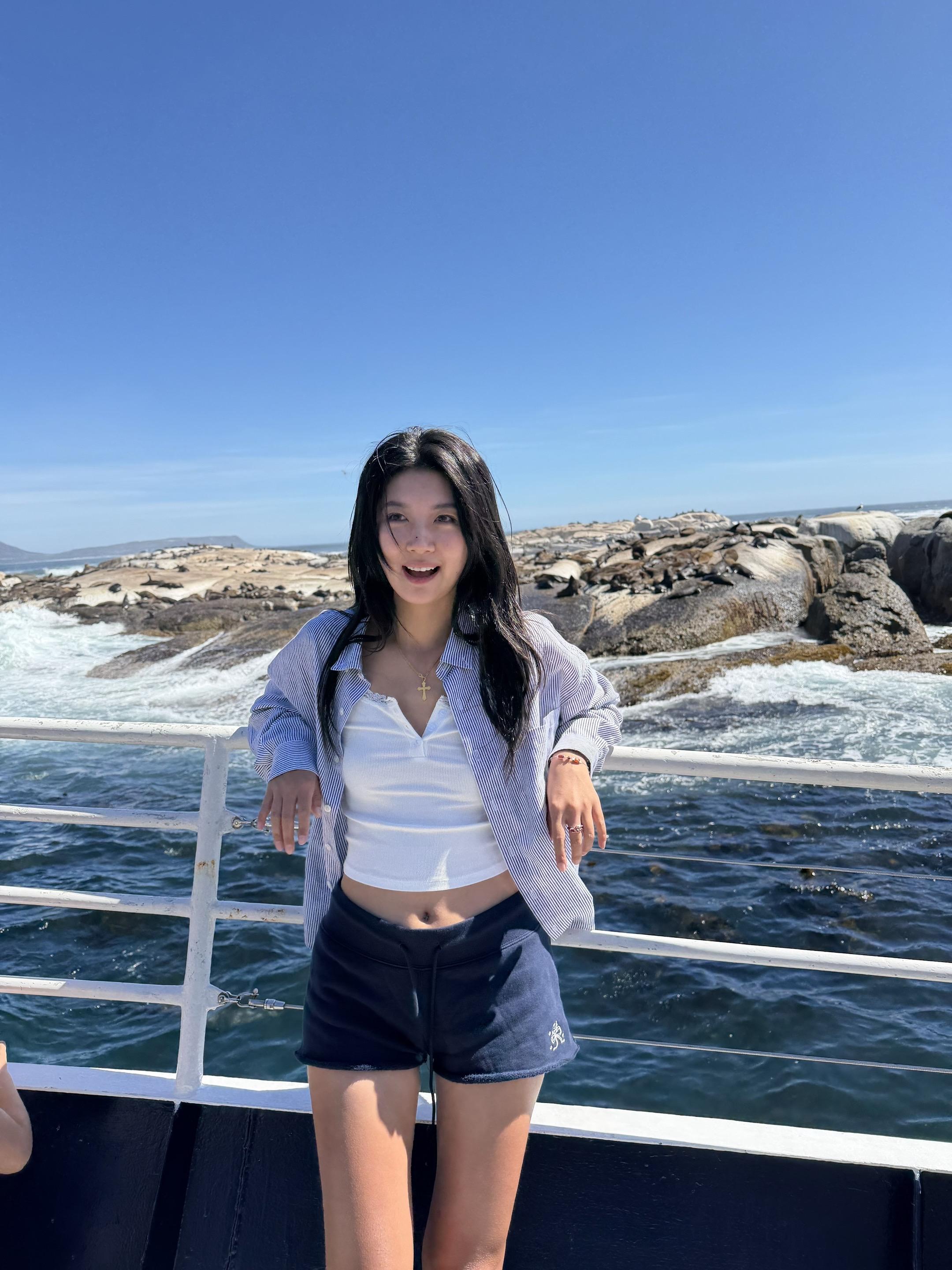 人！ 快看！狡猾QQ肠们铺满整个岛🦭！ 也是在非洲看到海豹了！ 好像...