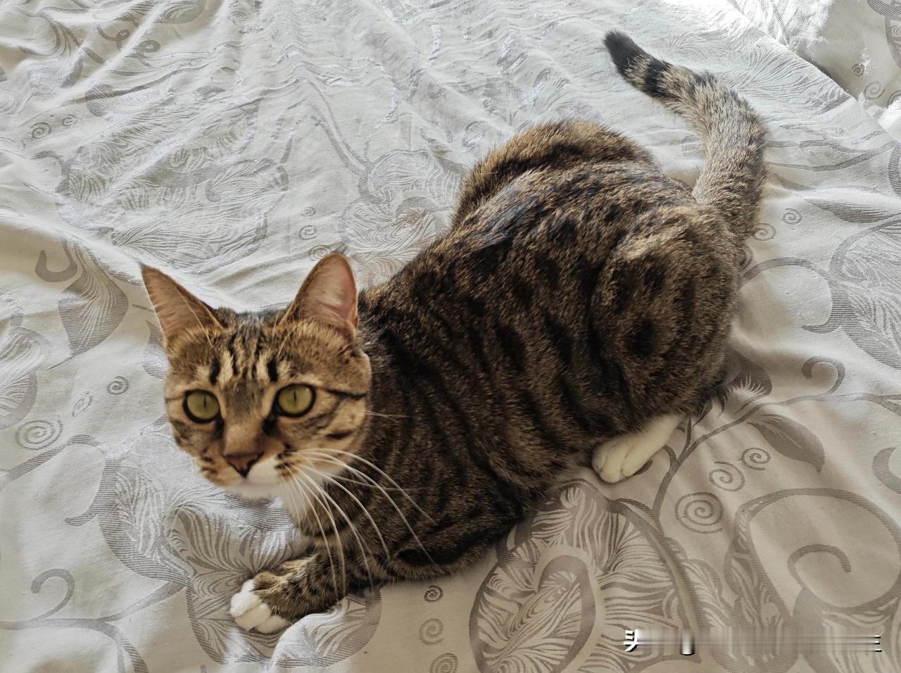 人生很糟糕，但也没那么差！
      没有事事顺遂的人生，难免会有风雨坎坷，工