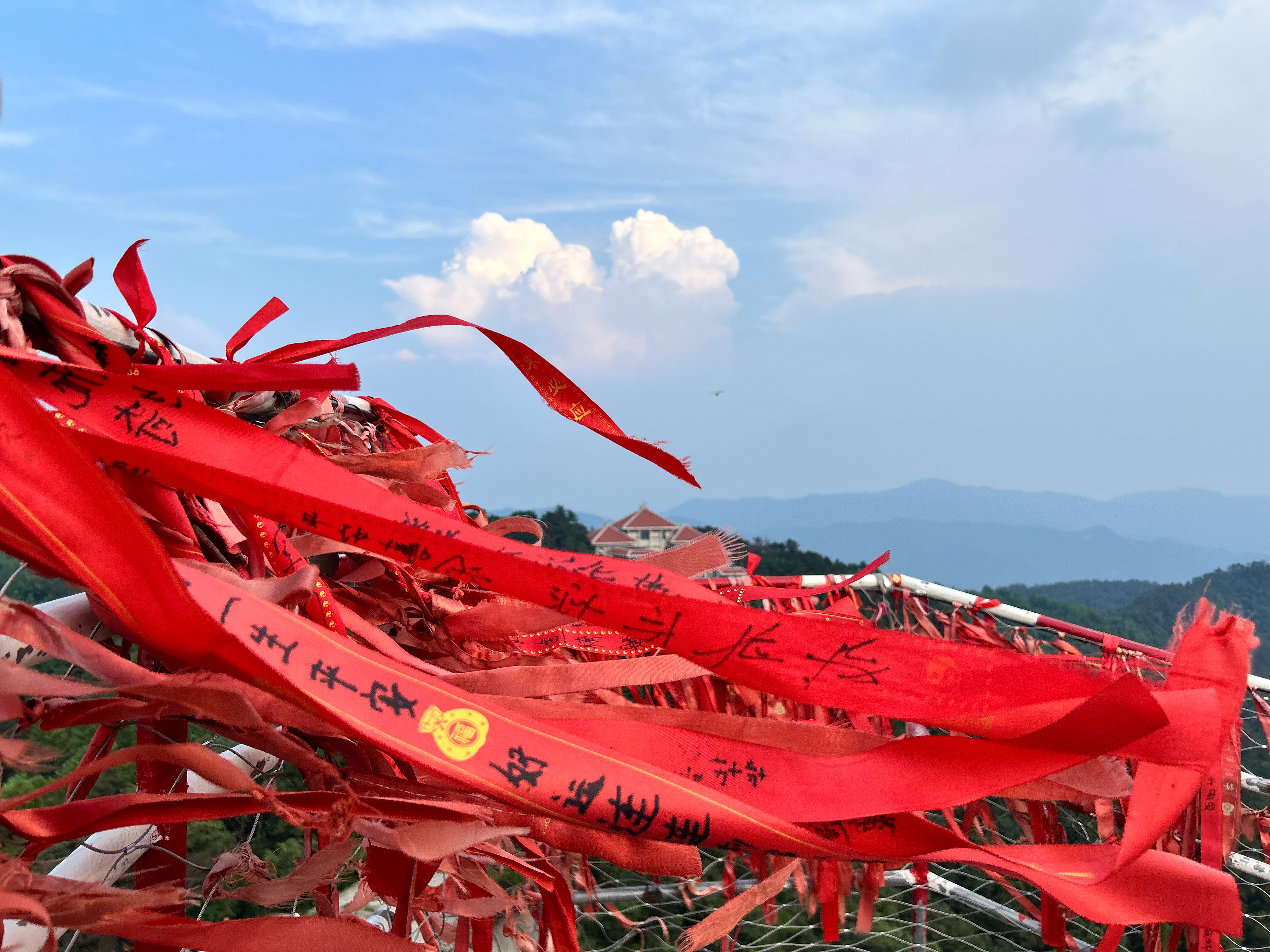 为ee们祈福了！！！㊗️最近感冒🤧的ee和家人们身体健康！还㊗️ee们都发大财