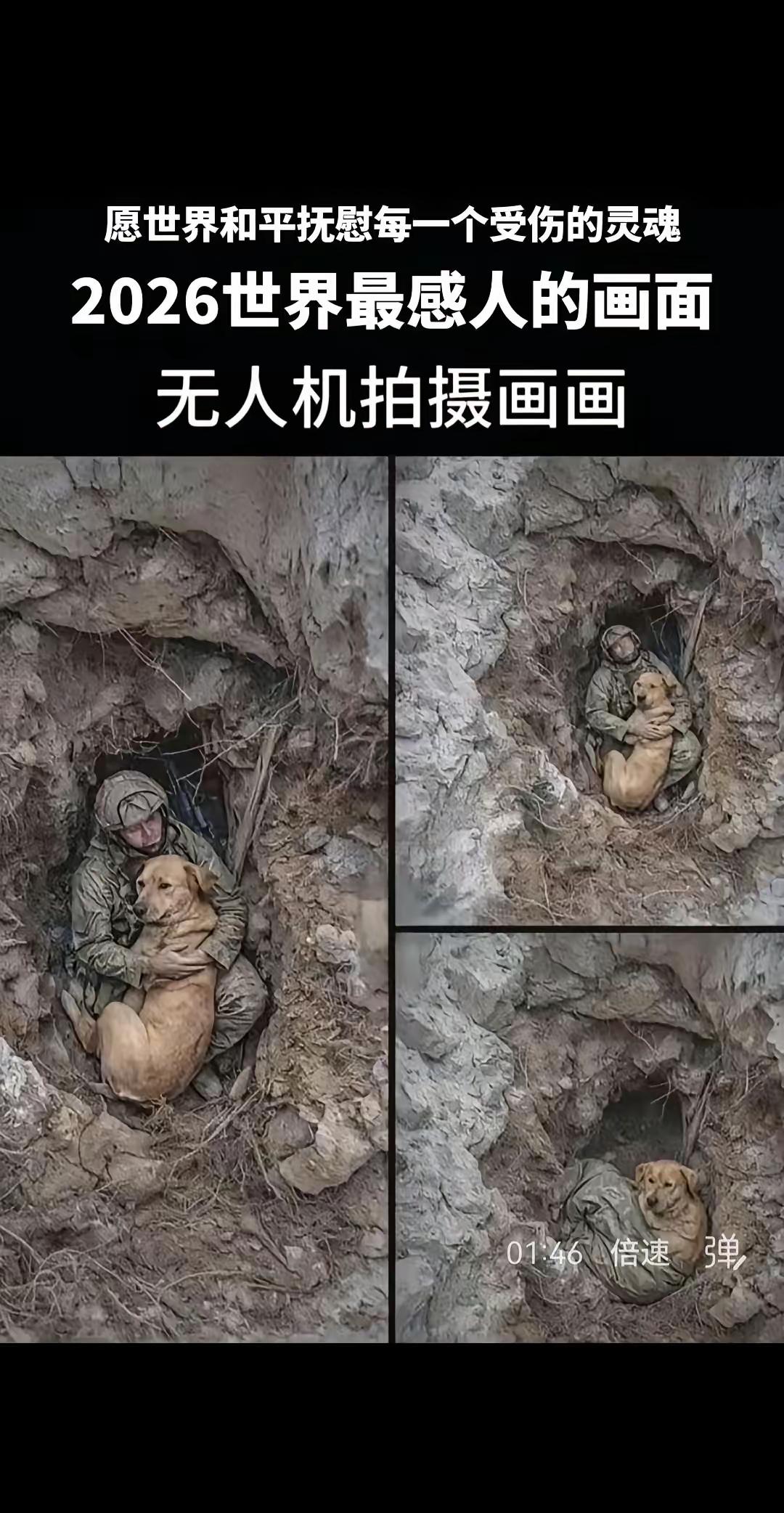 生命到了尽头，
有个陪伴也是一种幸福