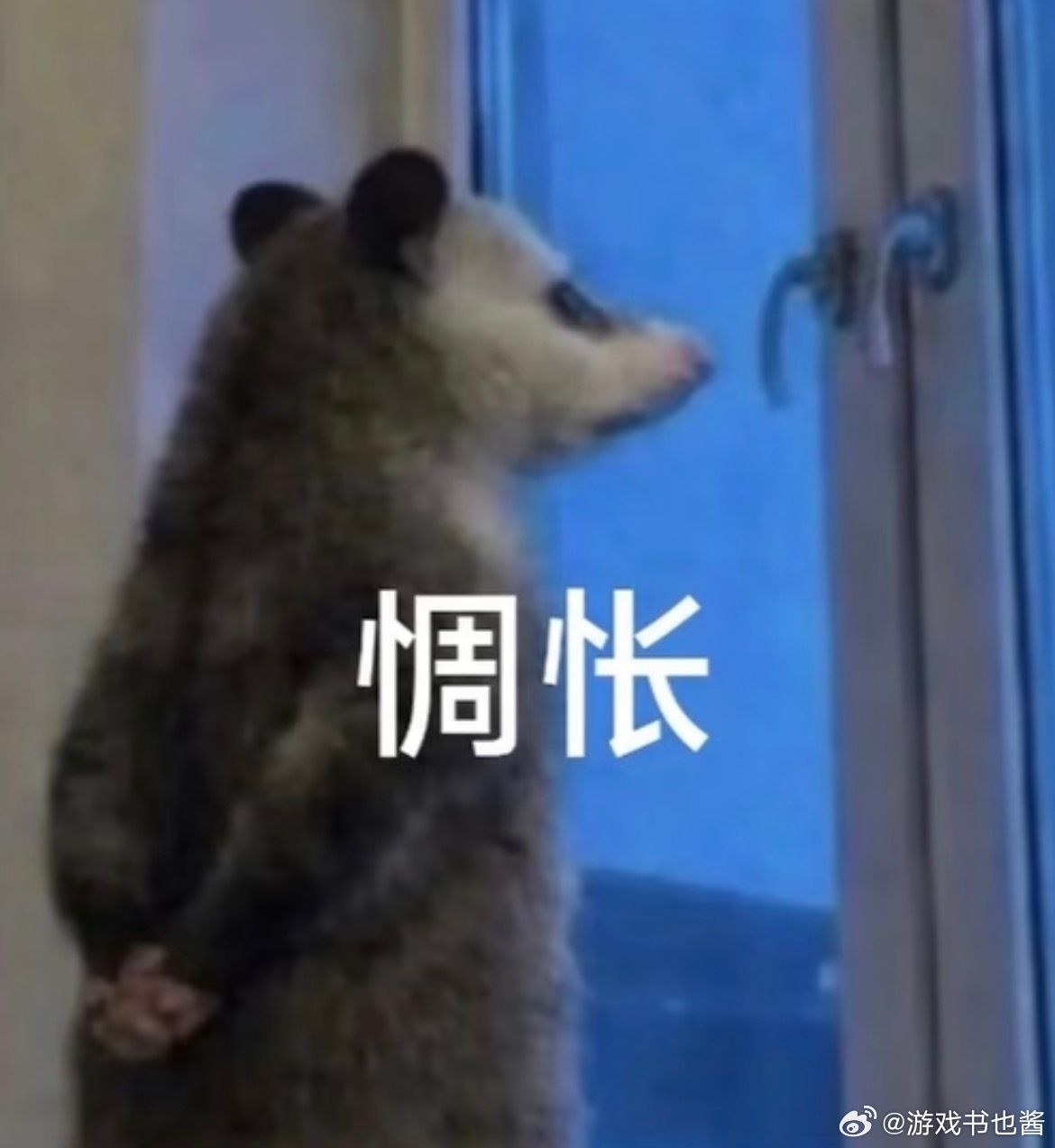 蚊子 进化今年真的拍死蚊子前都没听见嗡嗡嗡的声音，只用肉眼来盯着，一直以为自己年