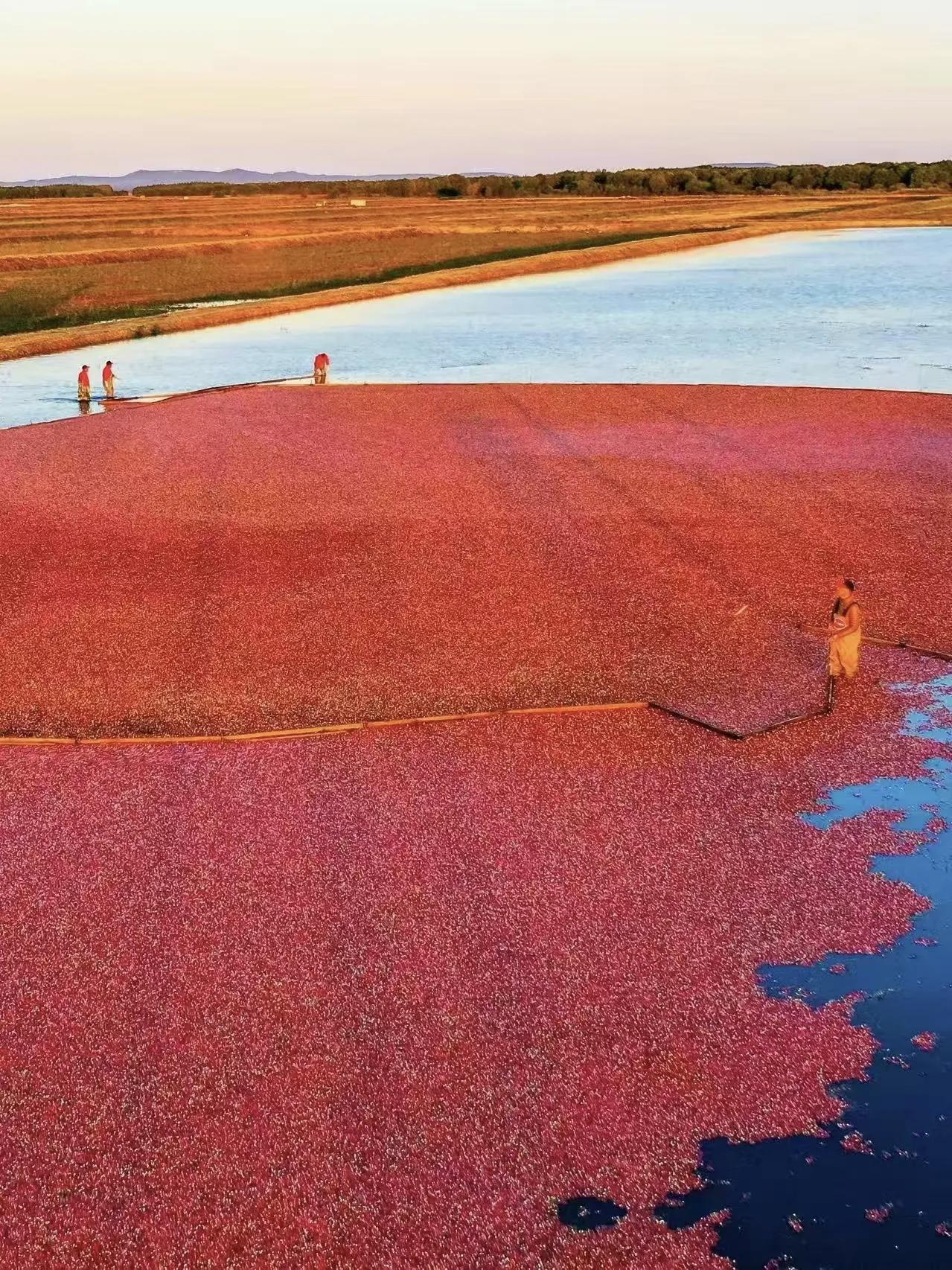 【对家人最好的，不是买昂贵的礼物，不是偶尔的问安电话，而是不对他们摆脸色；和颜悦