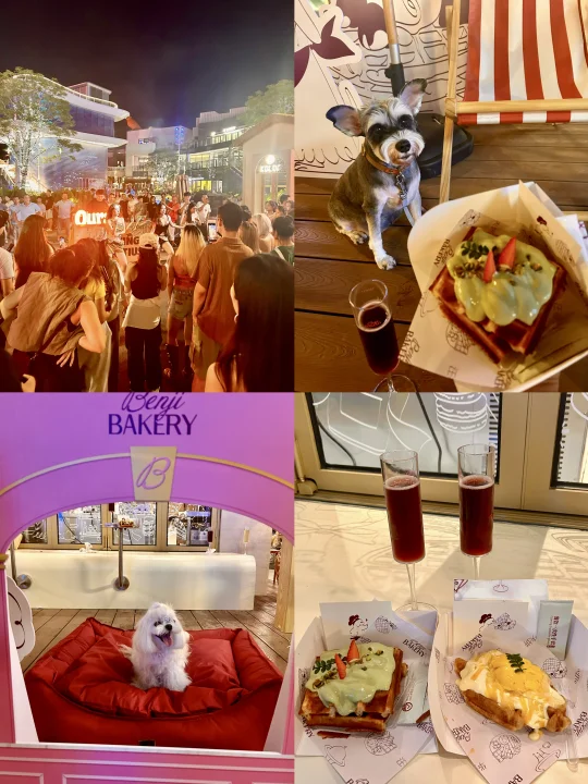 在深圳！太子湾开街音乐派对啦！宠物🐶友好！