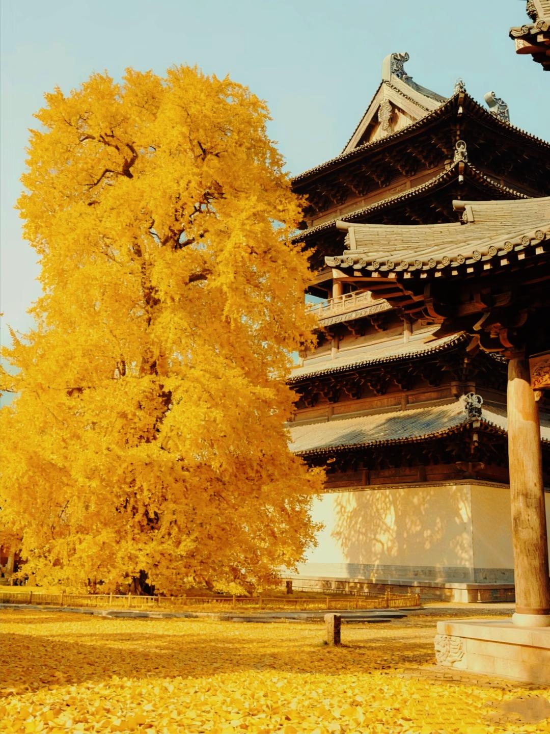 现在的年轻人真的太会“折腾”生活了！不是跟风内卷，也不是躺平摆烂，而是用自己的巧