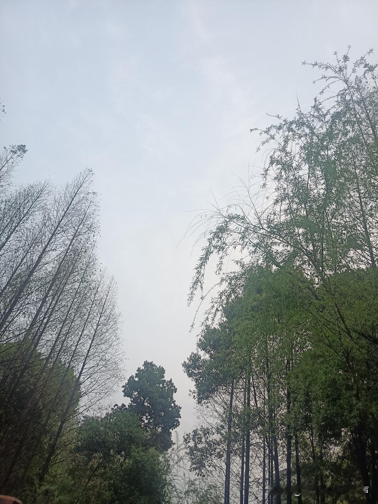 今天股市收盘后朋友打电话问我大牛市是不是要启动了呢？

确实，今天放量大涨，大资