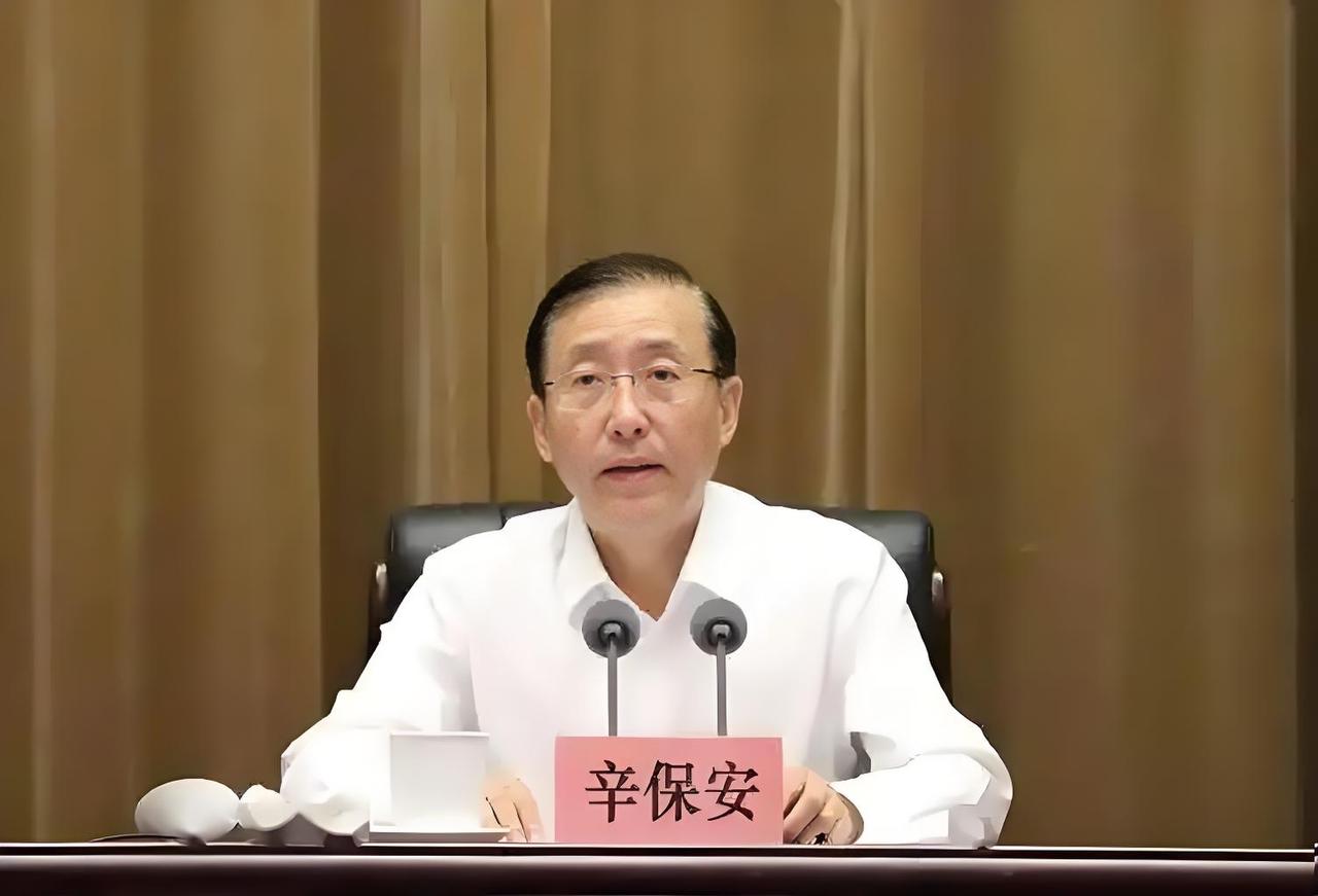 国家电网辛姓保安被查
日前，中央纪委发布通报，国家电网原党组书记、董事长辛保安涉