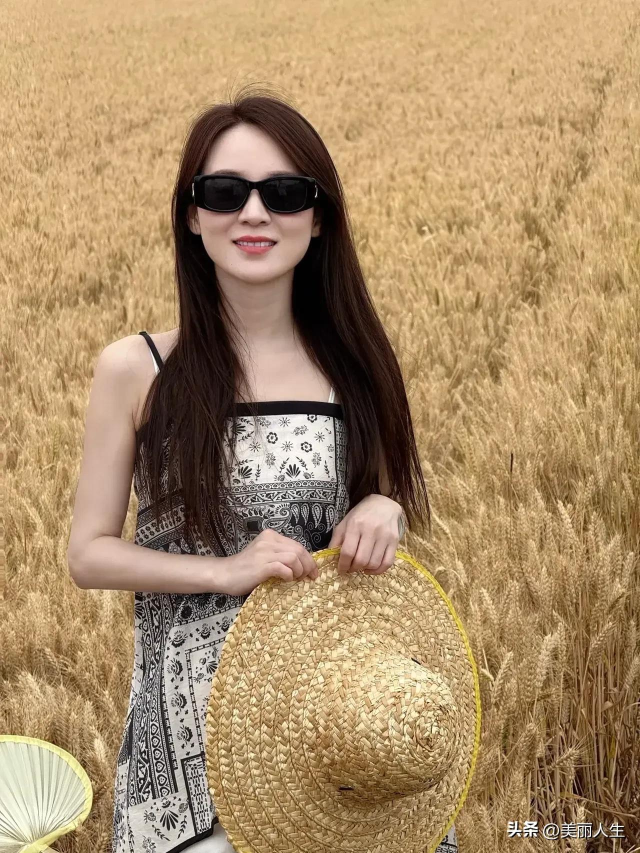 昔日麦田里的最美舞者