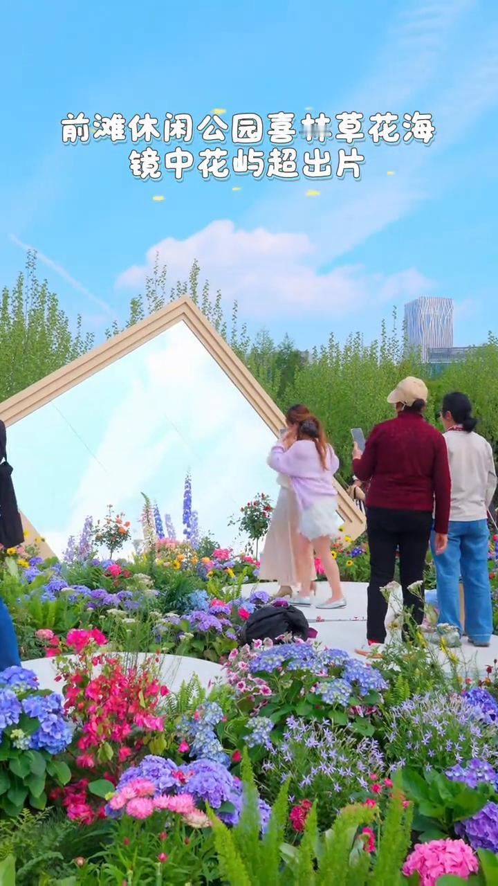 前滩休闲公园喜林草花海，镜中花屿超出片。