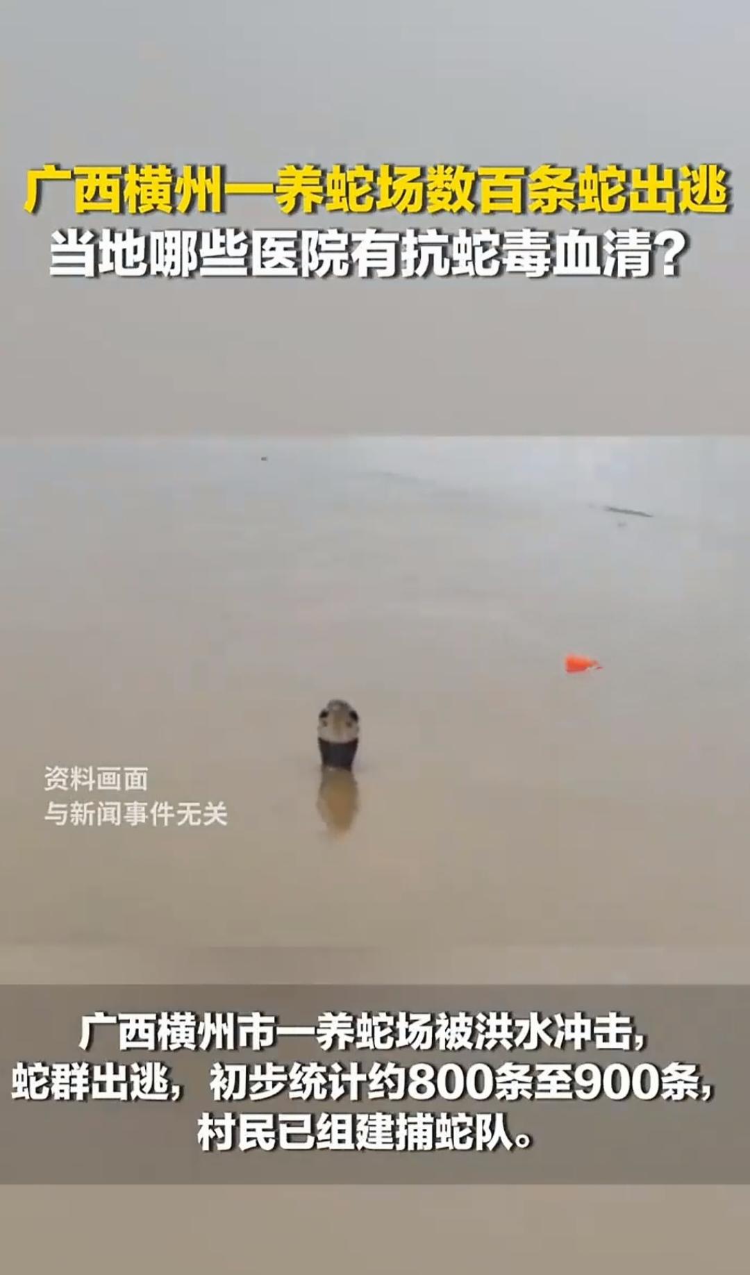 广西横州市一“养蛇场”被洪水冲击，
建议“韩红”带队抓蛇[灵光一闪]，本人愿意捐