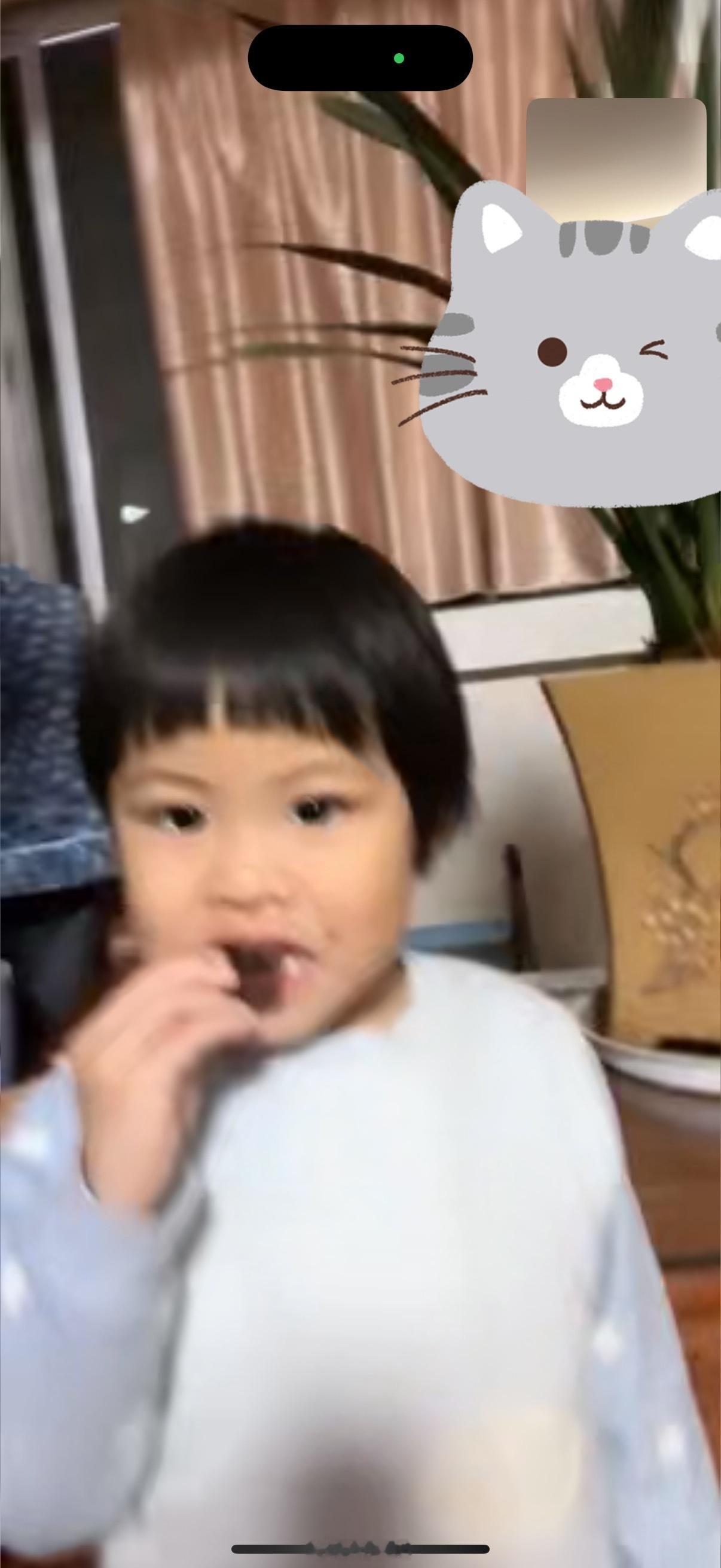 跟球宝视频压压说球在吃巧克力，我一口血差点喷出来我问球你是在吃巧克力吗球自知理亏