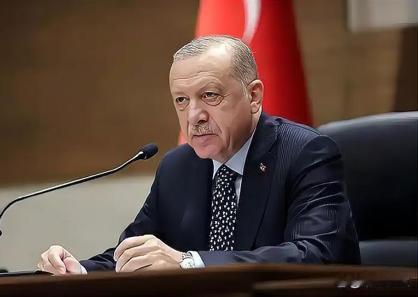 中东变局！以色列真正劲敌现身，并非伊朗与土耳其
 
长期靠着美西方撑腰，以色列在