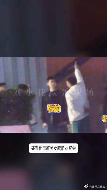 家人们，娱乐圈的感情那可真是像六月的天，说变就变！最近大家都在热议张翰和高文君是