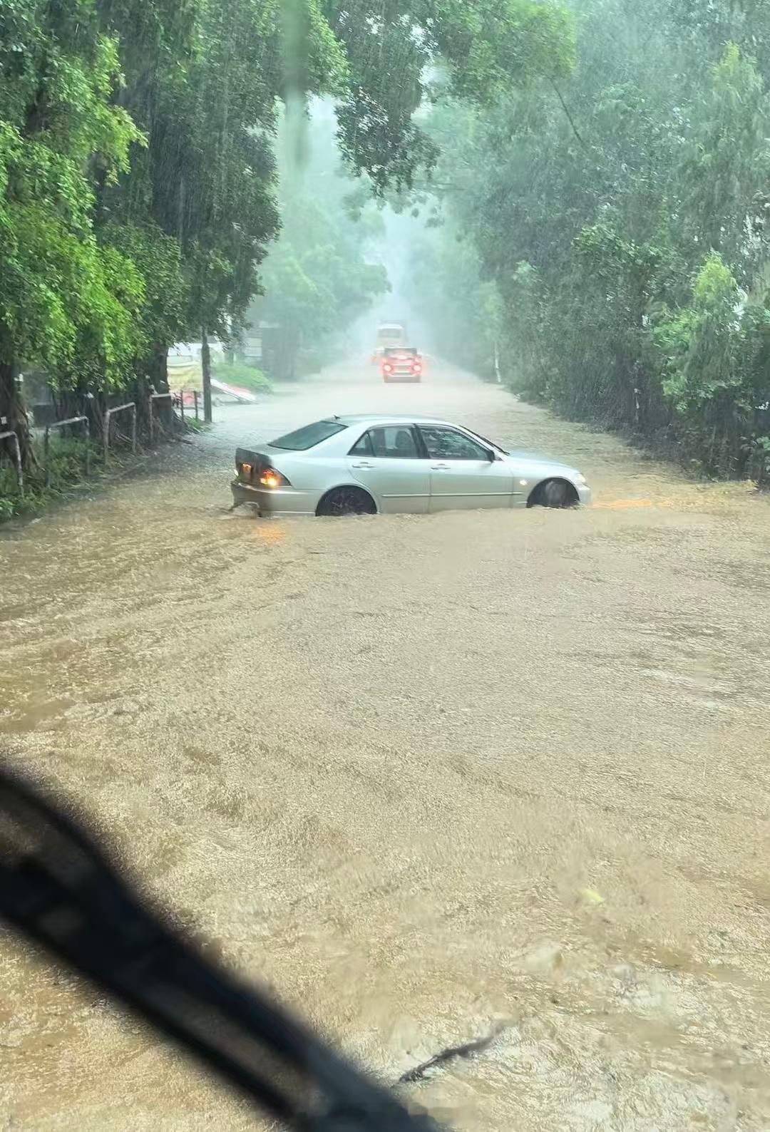 可怜的咬地鲨最近各位过积水一定要注意呀尤其是宝马车主们暴雨