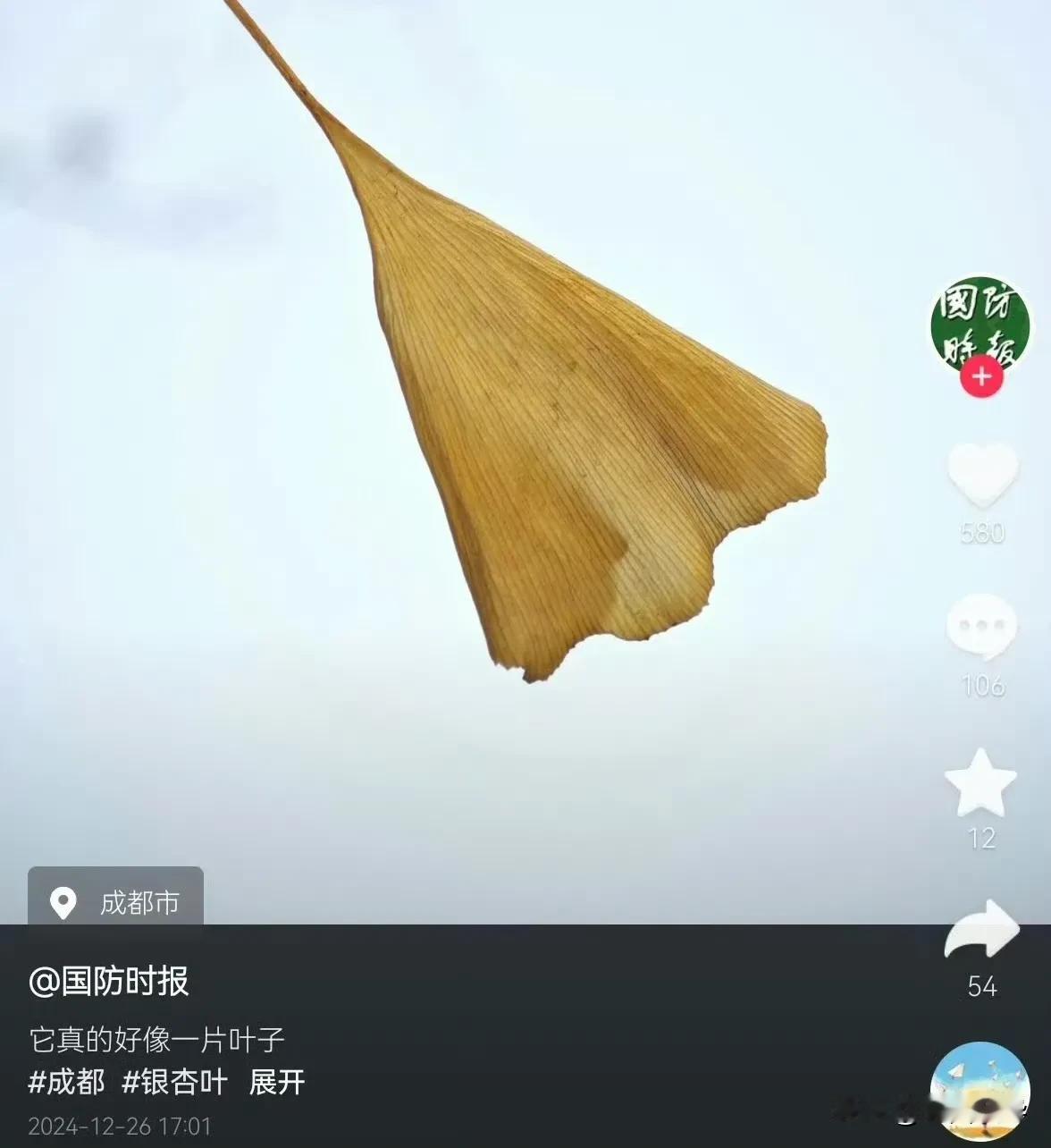 有人想知道六代机是什么样子，首飞图片不方便发出来，但大概就是这个叶子的样子，外形