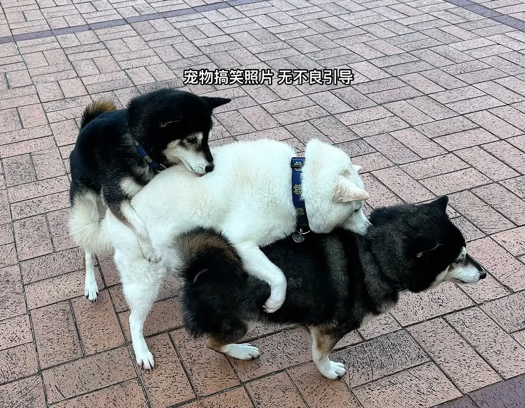 情况有点复杂