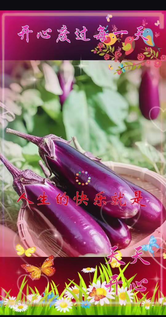 吃喝玩乐分享计划