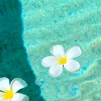 每日一善 🌞每日一善 生活的天空不可能永远清澈透明，有风雨也是常事。但只要向阳