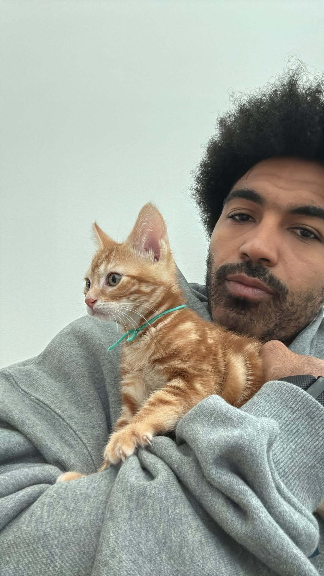 文森特&猫加布•文森特湖人国度 ​​​