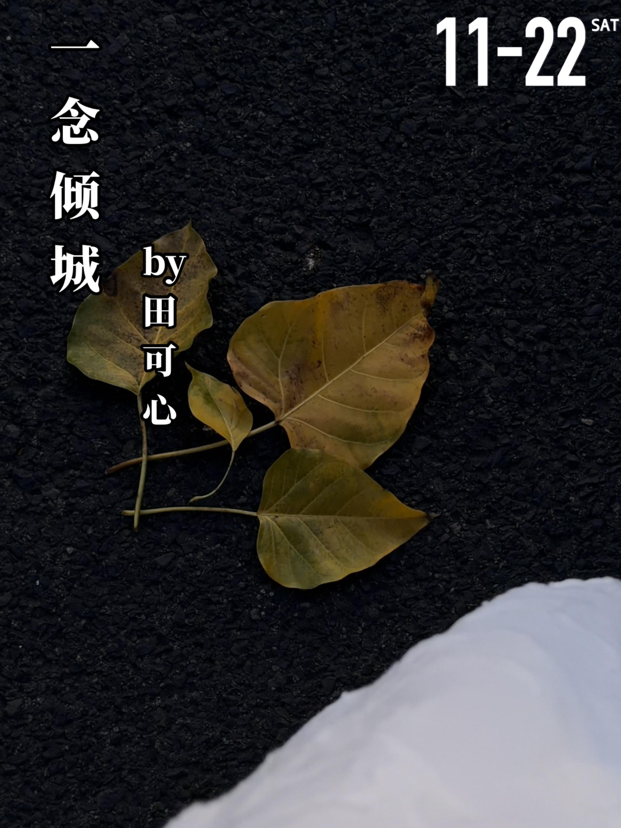 《一念倾城》by田可心。薛澄谨（男主）与方唯念（女主）两人相识于大学时...