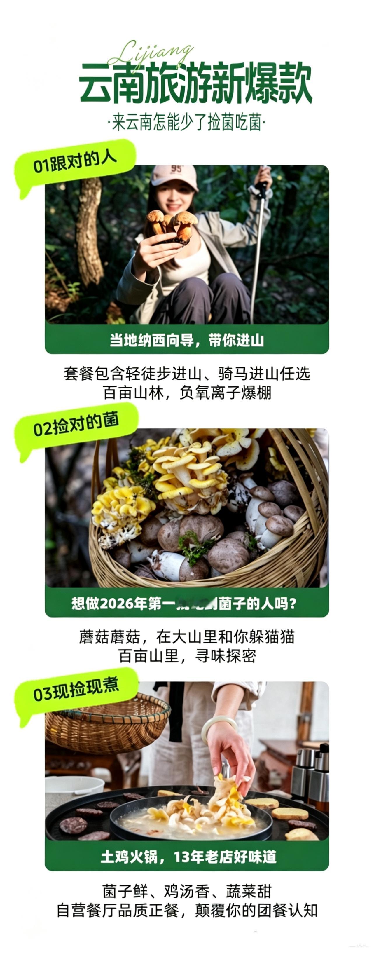 2026丽江首批野生菌新鲜开拾，豆花名宿经营15年，安心靠谱。没订到豆花名宿房间