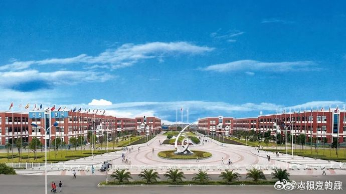 台州椒江以知识产权赋能产业转型升级创新驱动结硕果，椒江企业斩获省知识产权多项奖项