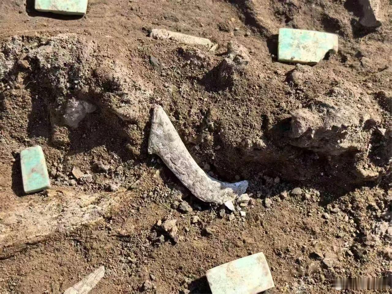 2025全国十大考古新发现十大考古参评项目郑家沟遗址 河北宣化洋河南岸的山间，分