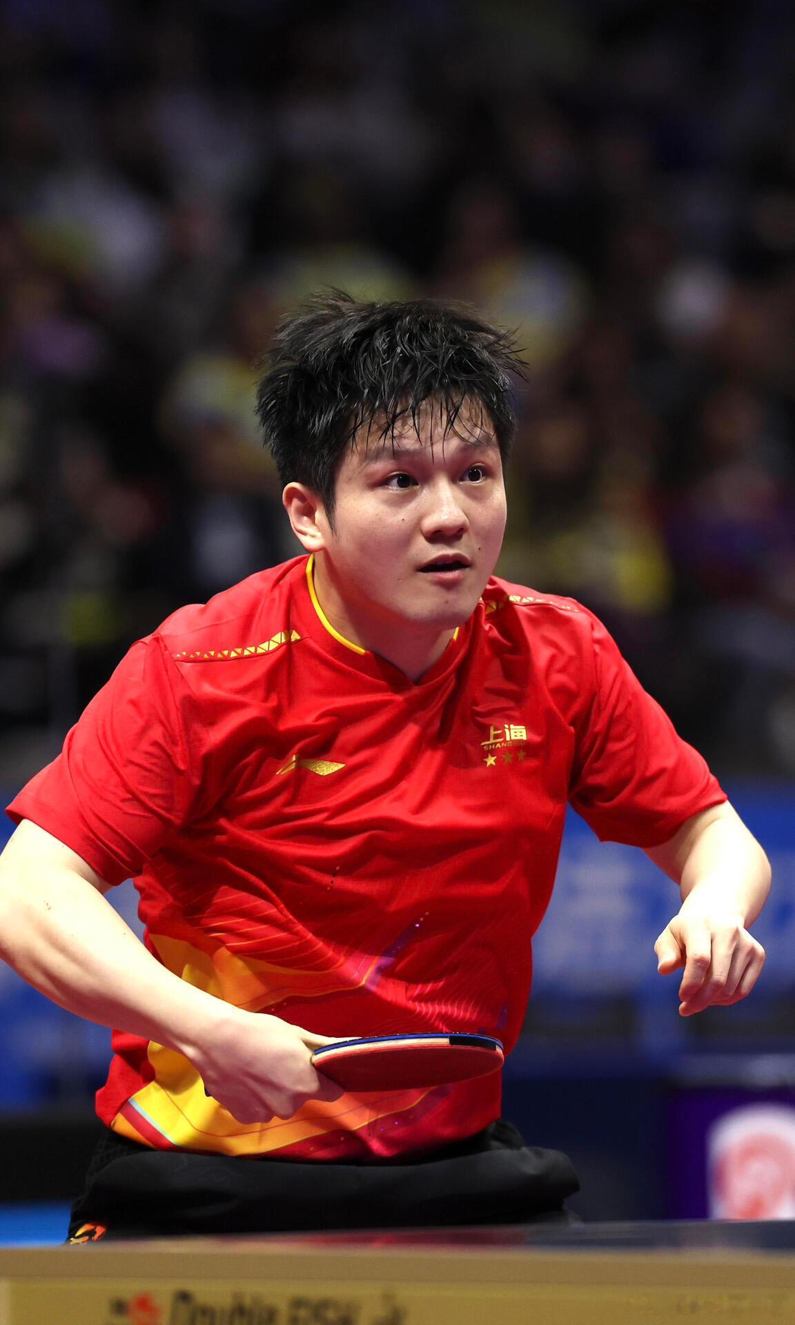 不同形态下的🐼：   