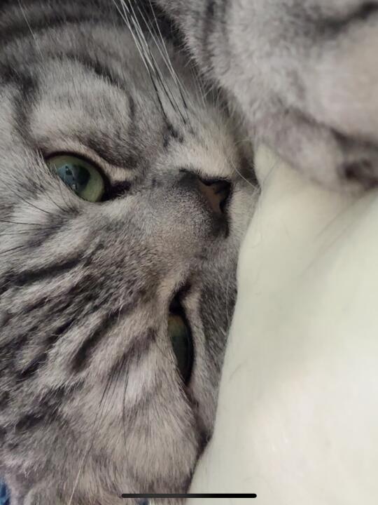 快接视频看看你的咪