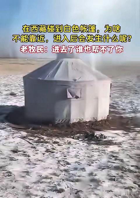 千万别随便靠近藏区草原上的白帐篷，
老一辈牧民的忠告真不是玩笑，
贸然闯入后果真