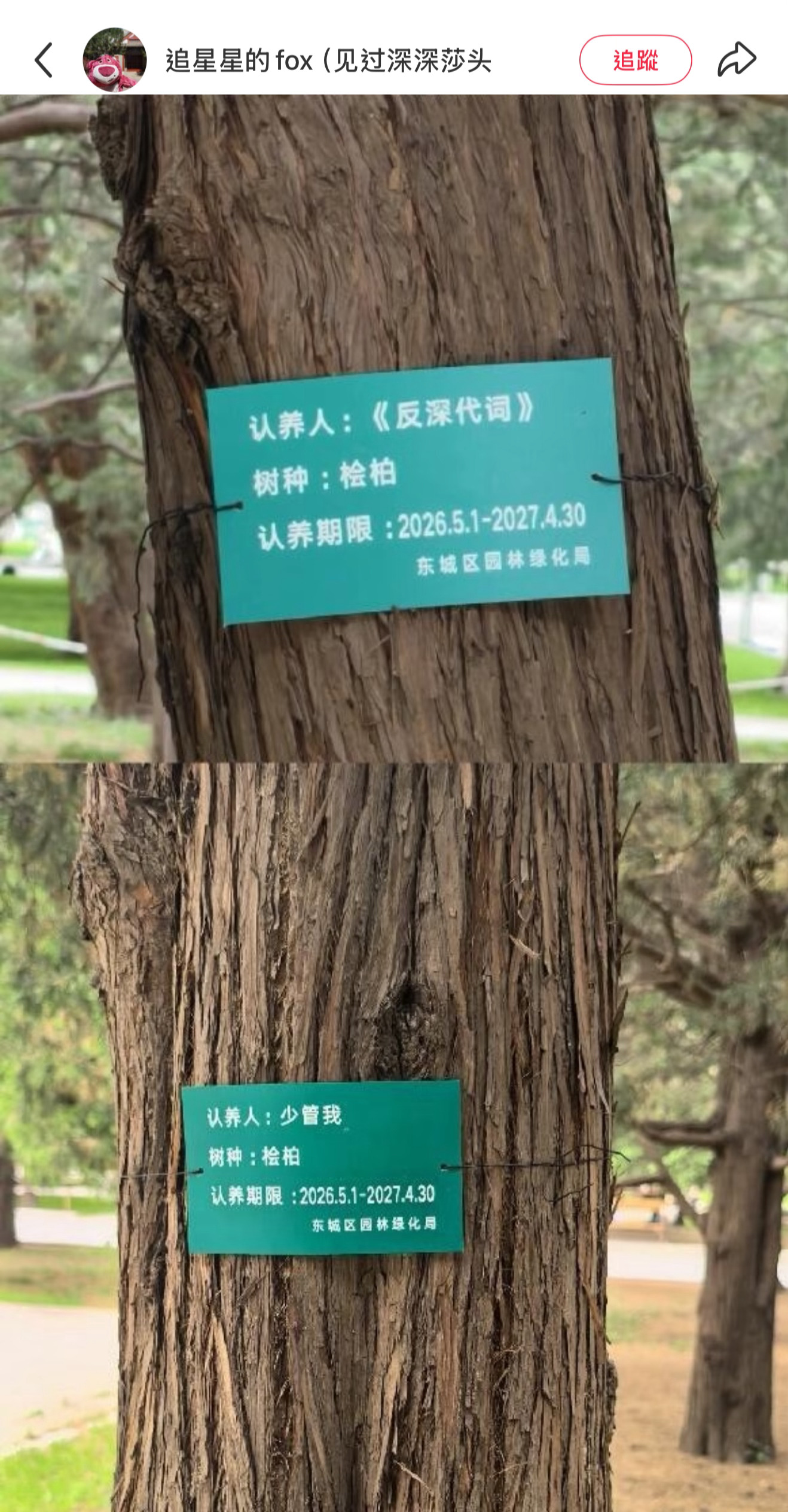 周深反深代词实体专辑 刷到米姐的分享 才知道地壇還有很多周深相關的樹《反深代詞》
