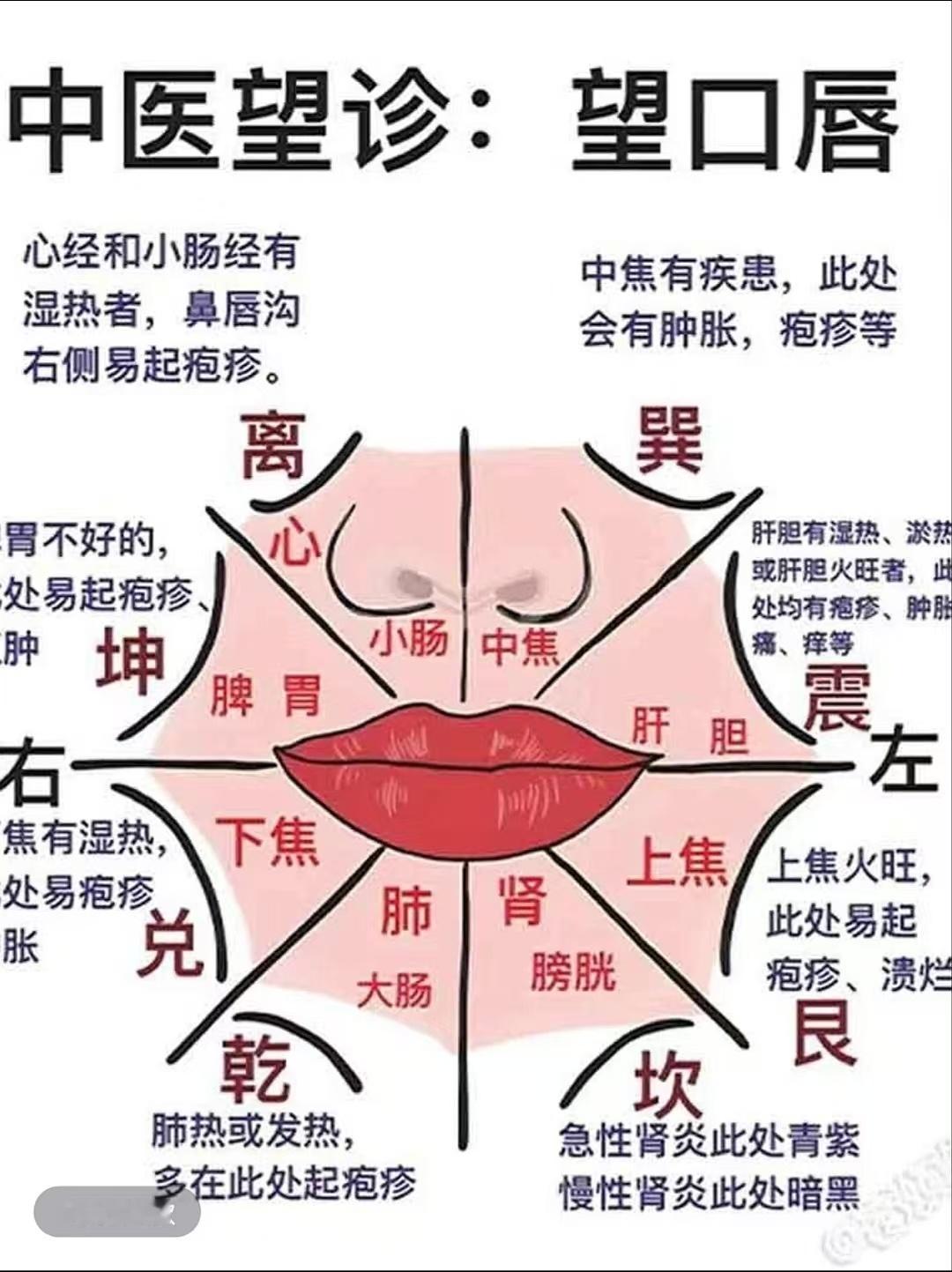 码一个中医望诊对照表图片来源于网络 