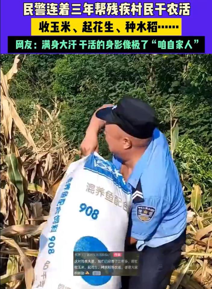 没见过这种警察！湖北，残疾夫妻因为化疗而耽误了收玉米，从医院回来后匆匆去地里干活