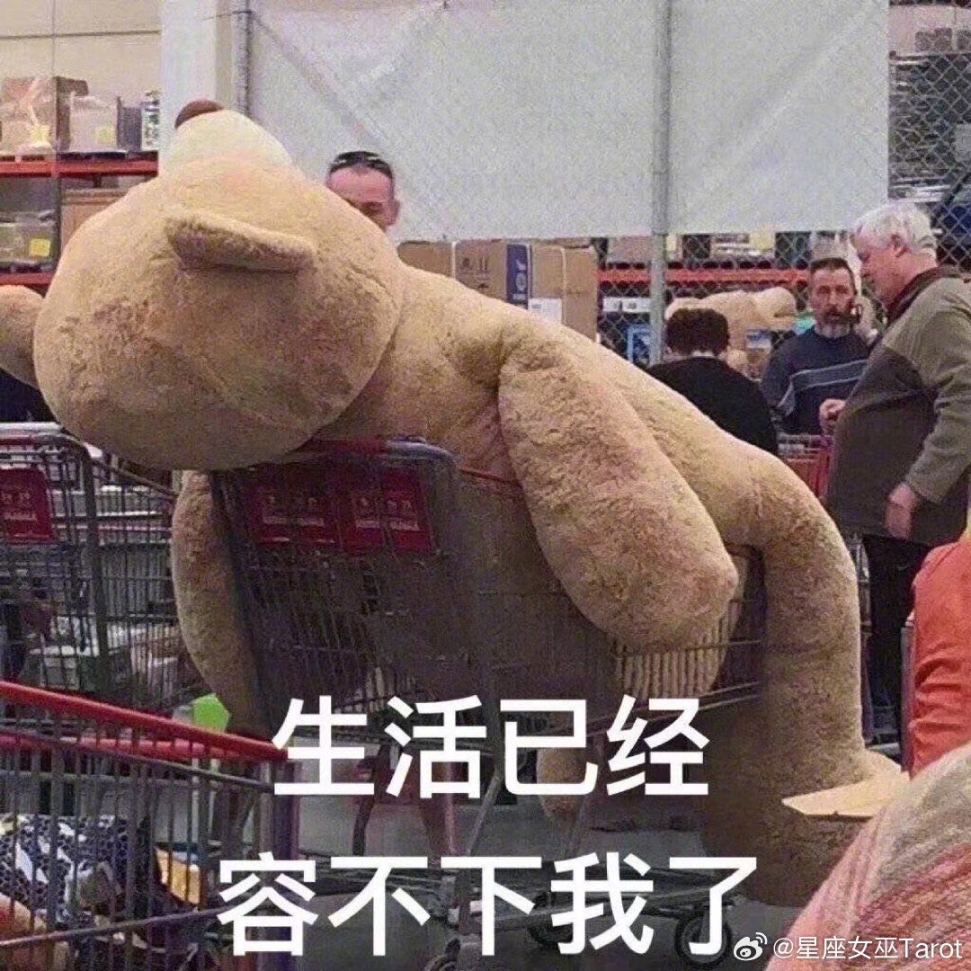 最容易突然离职的星座：第一名：白羊，忍不了就走了第二名：射手，心先走，人随后第三