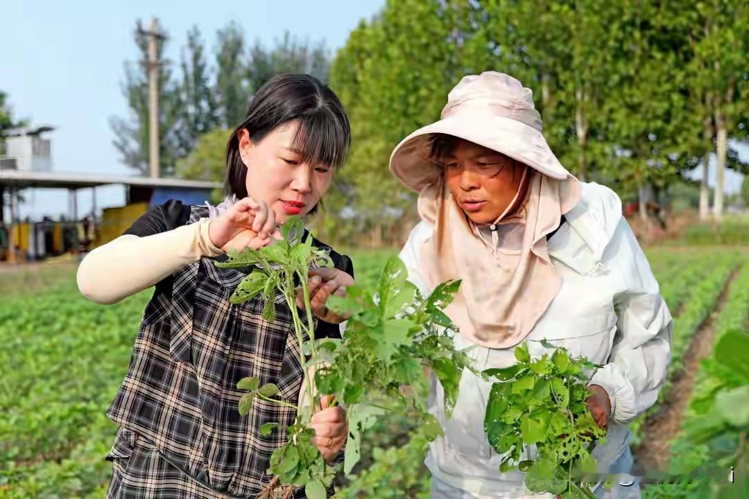 一粒中国野生大豆，如何成全了美国转基因大豆霸权？
 
粮食安全无小事，一粒种子就