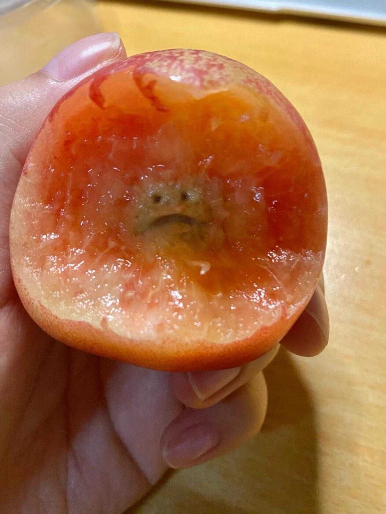 它好像对我咬它这件事很不满？ 