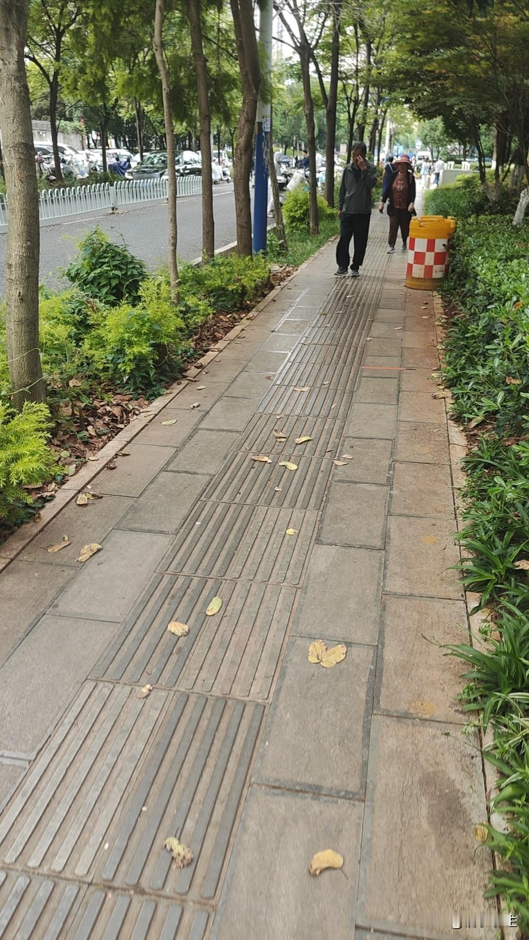 记录我的2026上班路上