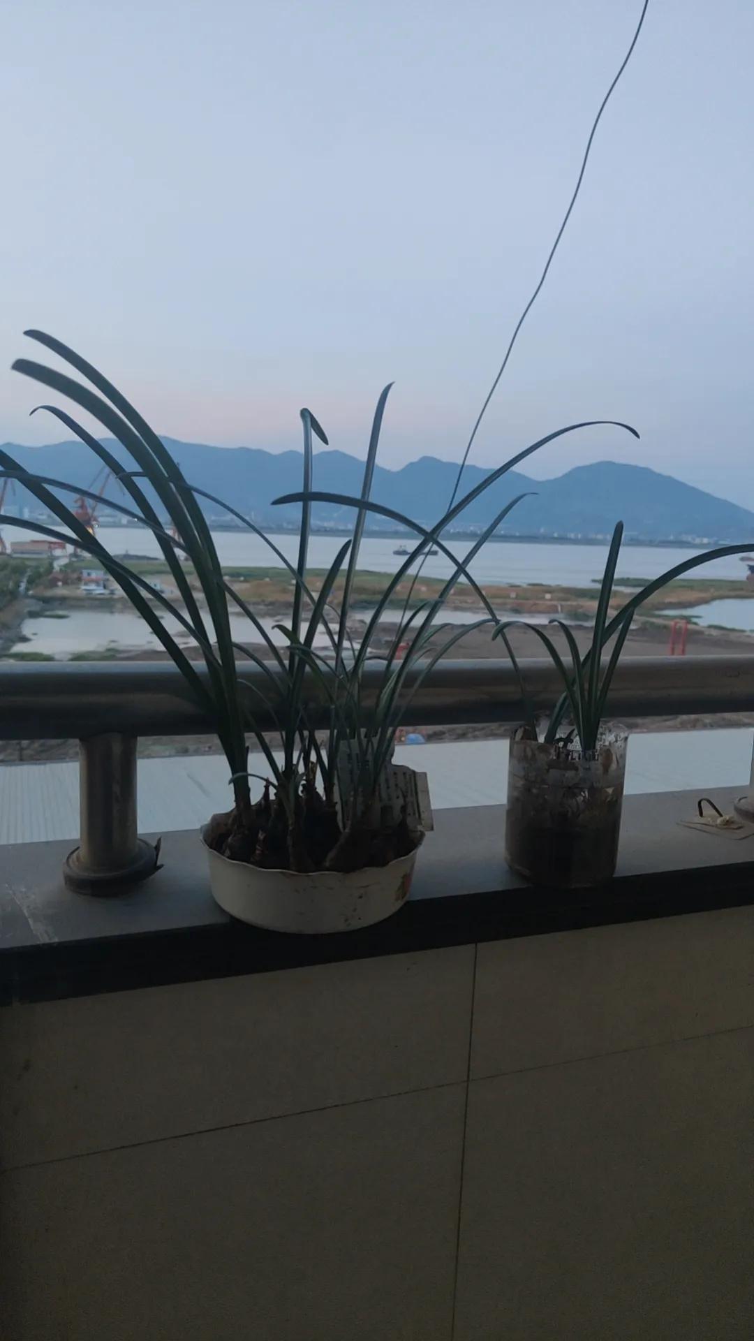 昨天回了趟老家，和村里人闲聊时，发现一个很扎心的事。
 有个事儿真是让人心里发酸
