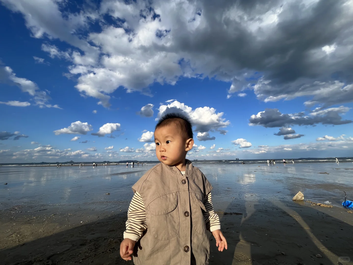 美到失语live图在国内最美的一次海景
