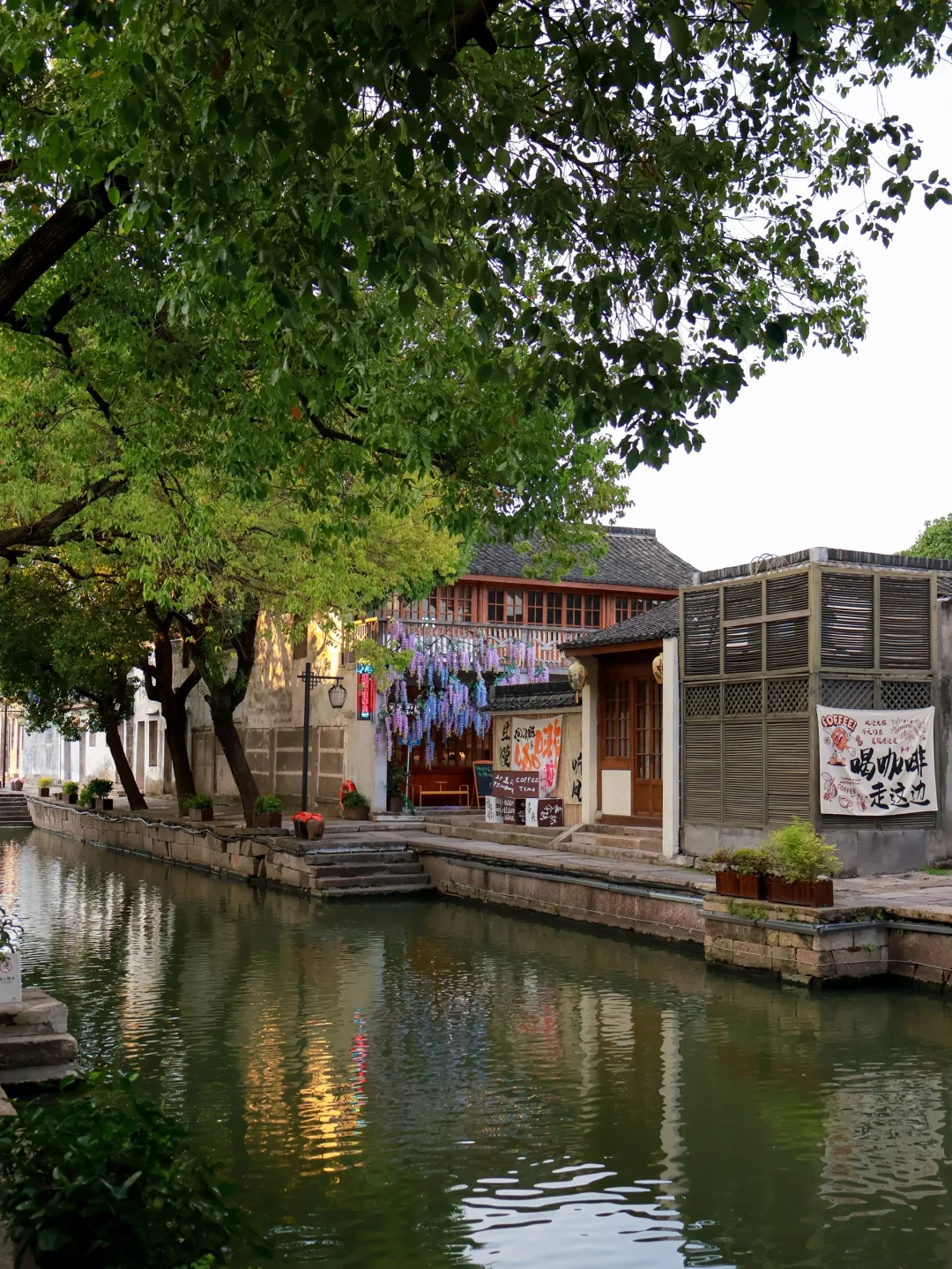 好美 美到不要滤镜