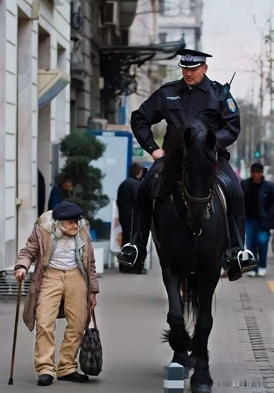 看看这些高头大马，给人带来不一样的感觉，马是人类忠诚的朋友，马对人类的贡献太大了