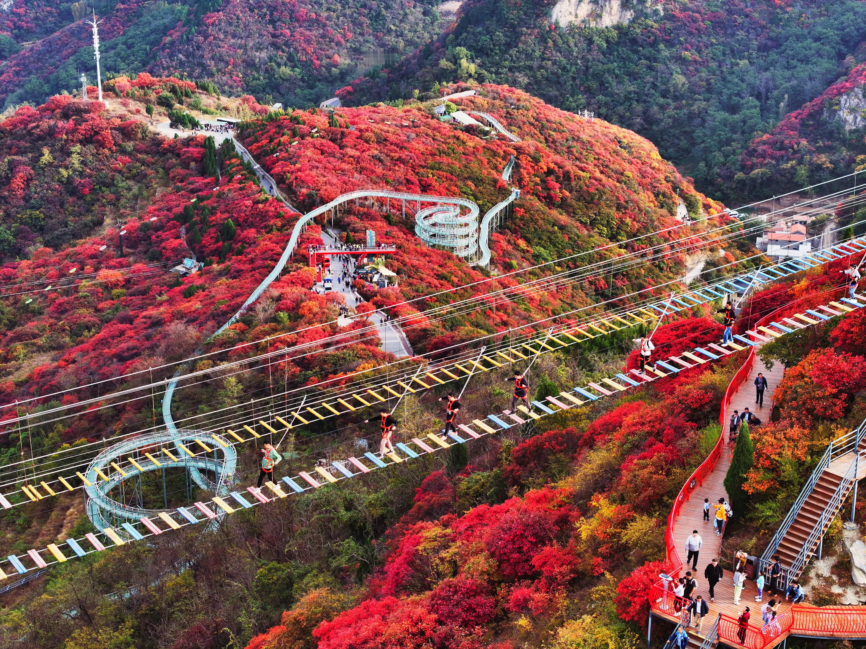 2024年，山东经济展现新活力，GDP达9.86万亿元，同比增长5.7%，工业、